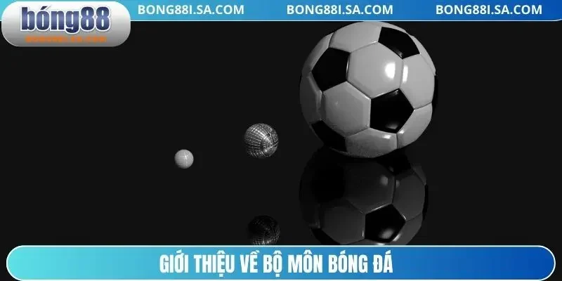 Giới thiệu về bộ môn bóng đá